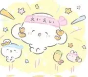 白猫の画像
