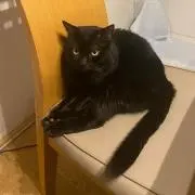 ぽー