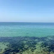 なぎの画像