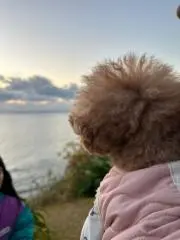 らむじーの画像
