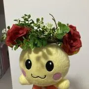 まきろん【値下げ交渉OK】の画像