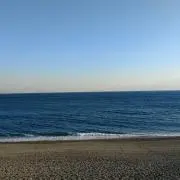 ゆた