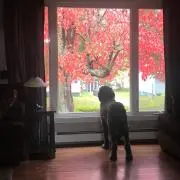 Mahoの画像
