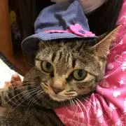 まりの画像