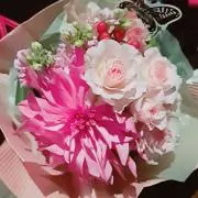 みーちゃん