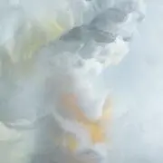 ちあきの画像