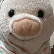 みけ