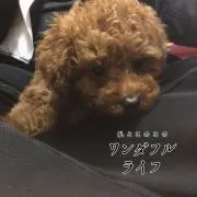 jkpksの画像