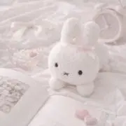 さくらんぼの画像