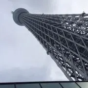KUMAの画像