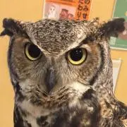アルマ