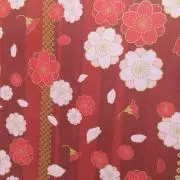 日目婆