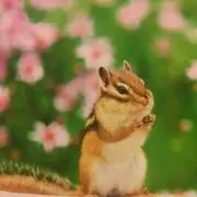 ☆sakura☆