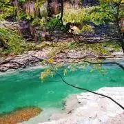 小助川の画像