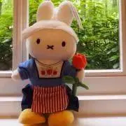 Shiro660の画像