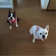 ☆BonBa☆