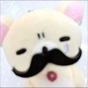 単細胞の画像