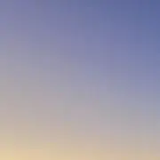 y.の画像
