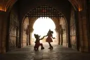 ステラの画像