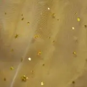 ⭐︎