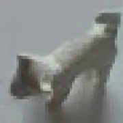 Image of Haduki