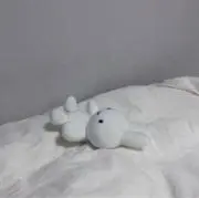びすこの画像