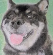 atlier.nana