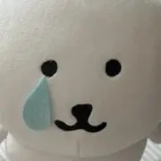 @ㅆㄷㅆㄷの画像