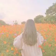 ポムの画像