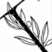 プロフに説明ありの画像