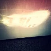 conoの画像