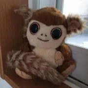 わおきつね