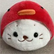 みんの画像