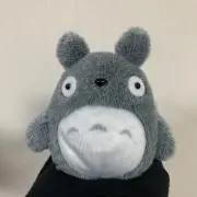 まろんの画像