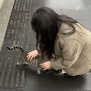 うさまるの画像
