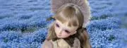 angelaの画像