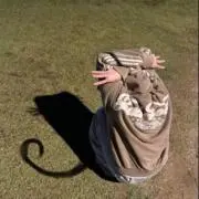木工用ジェームズ・ボンド