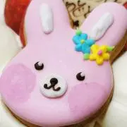 うさこの画像
