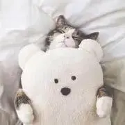 あんこ＊の画像