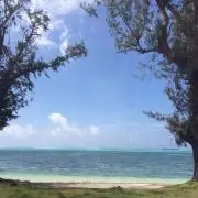 yu-miの画像