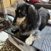 えるの画像