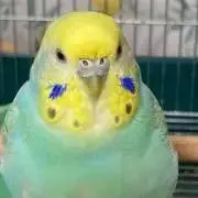 ゆうくんの画像