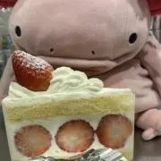 にゃん