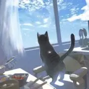あいか