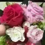 まりの画像
