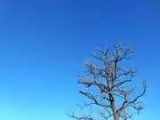 WAの画像