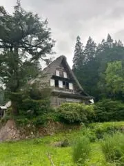 まもかりの画像