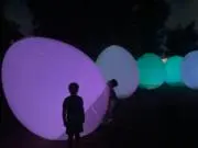Mikiの画像