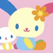 ビバの画像