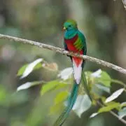タキココ